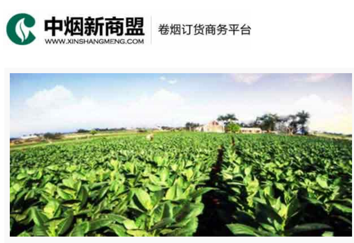 中烟新商盟卷烟订货商务平台-凯发k8一触即发