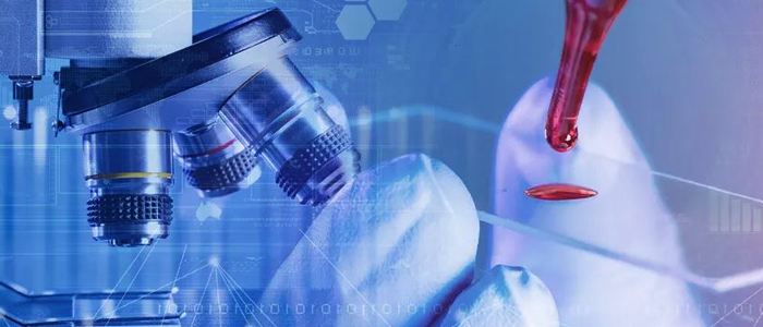 凯发k8一触即发网络+银丰生物集团 打造科研创新“加速度”